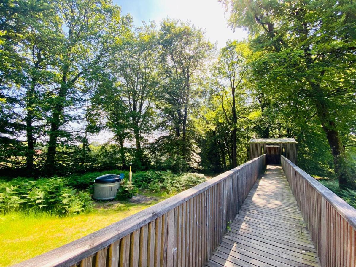 L'étape en forêt Saint-Sever-Calvados Exterior foto