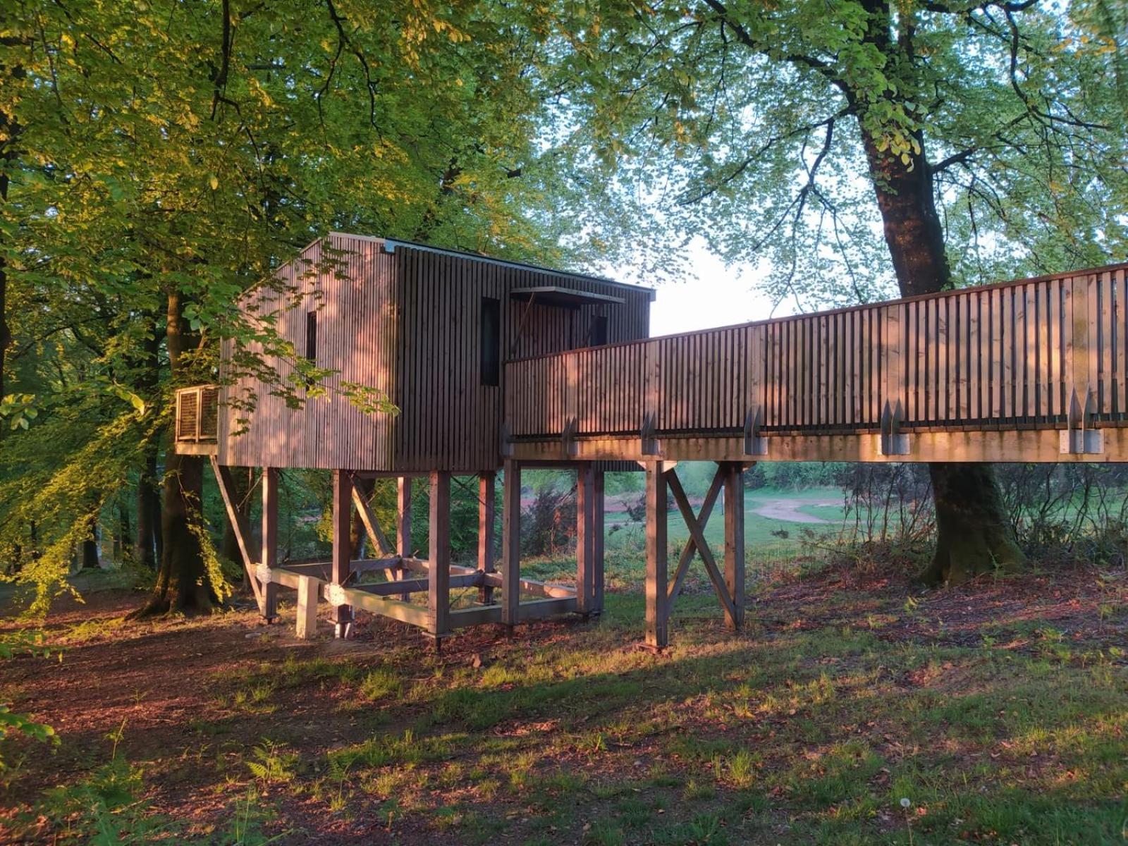 L'étape en forêt Saint-Sever-Calvados Exterior foto