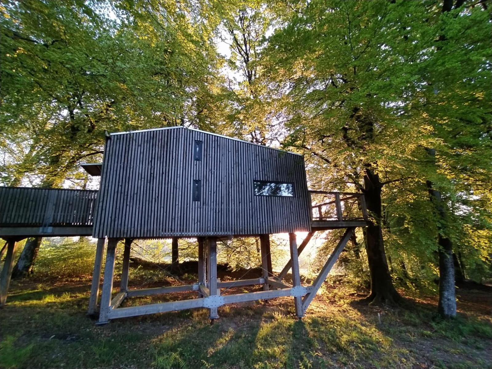 L'étape en forêt Saint-Sever-Calvados Exterior foto